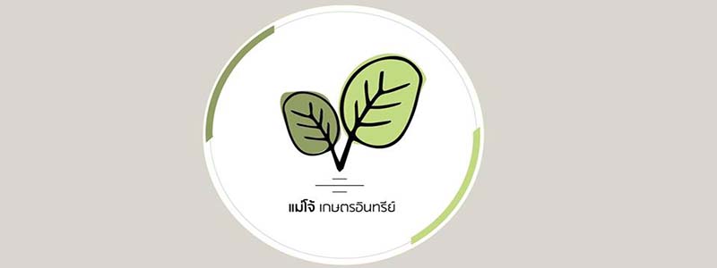Welcome to www.ogtwins.com